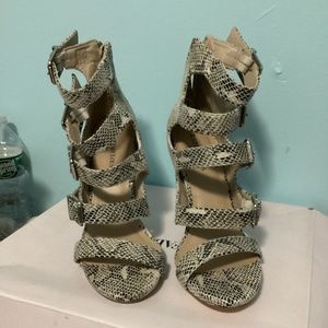 Snake Print buckle Heels